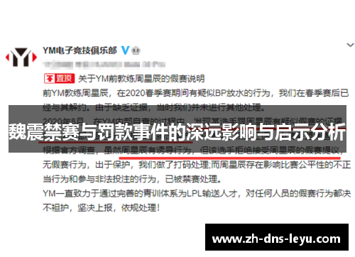 魏震禁赛与罚款事件的深远影响与启示分析