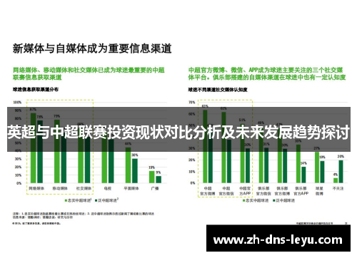 英超与中超联赛投资现状对比分析及未来发展趋势探讨