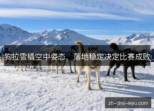 狗拉雪橇空中姿态,落地稳定决定比赛成败 狗拉雪橇空中姿态,落地稳定决定比赛成败